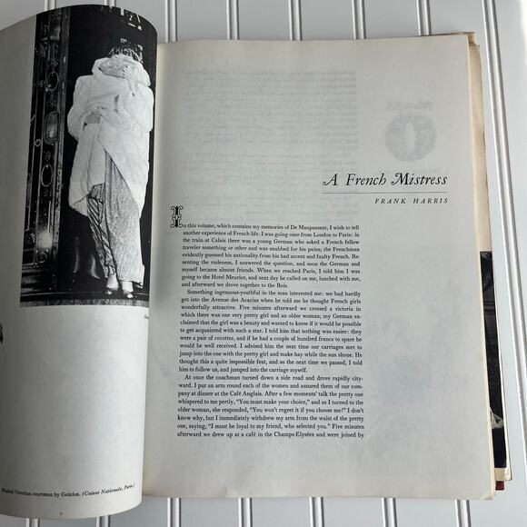 Fille de Joie The Book of Courtesans 1967 Cultural History of Sex for Hire Book - Picture 14 of 16